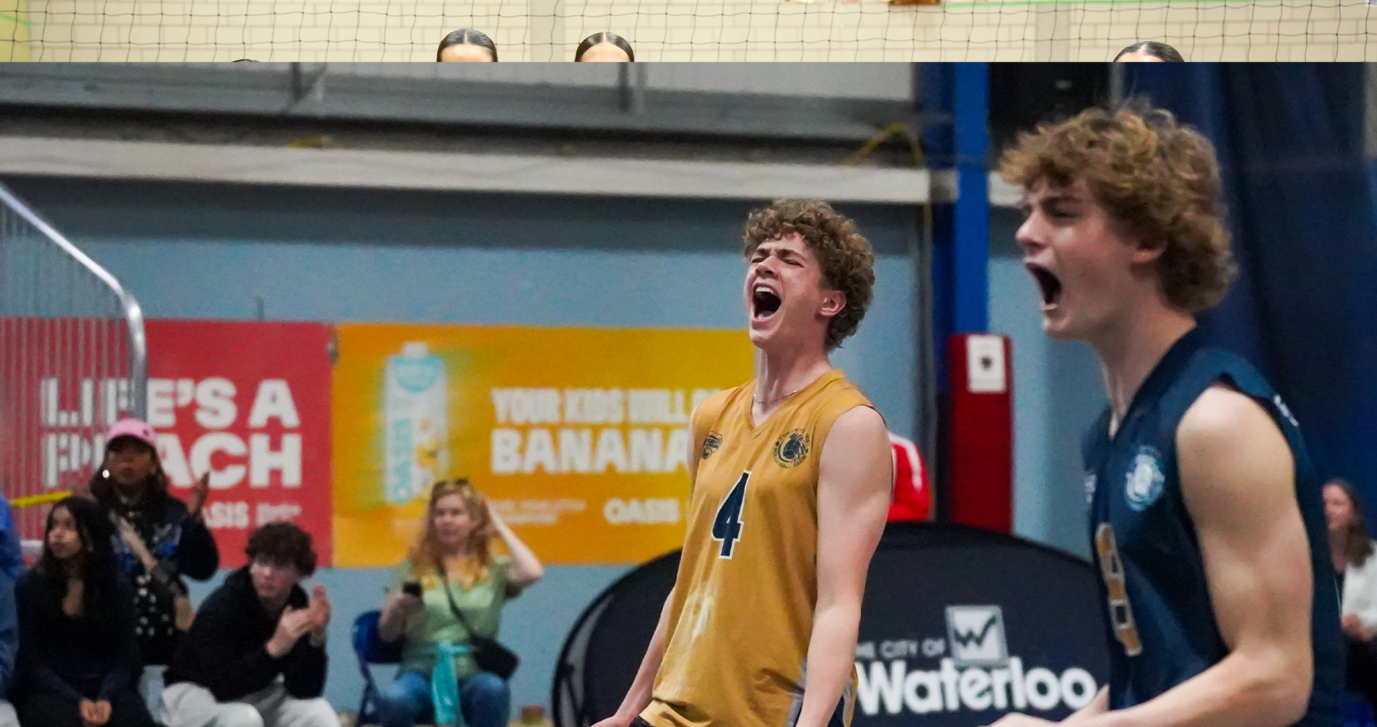 Home | Toronto West Volleyball Club